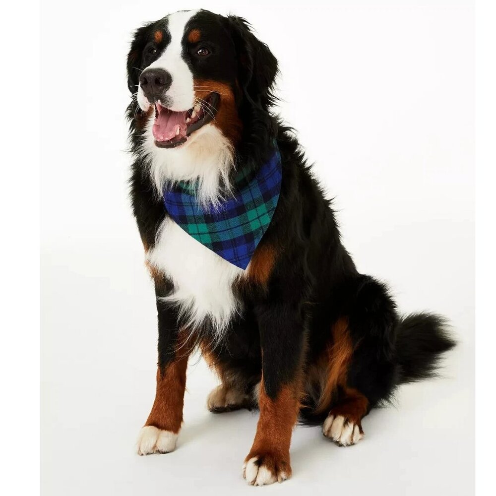 Family Pajamas Pet Dog Holiday Bandana Scarf, Blue Green Plaid, Large to XL